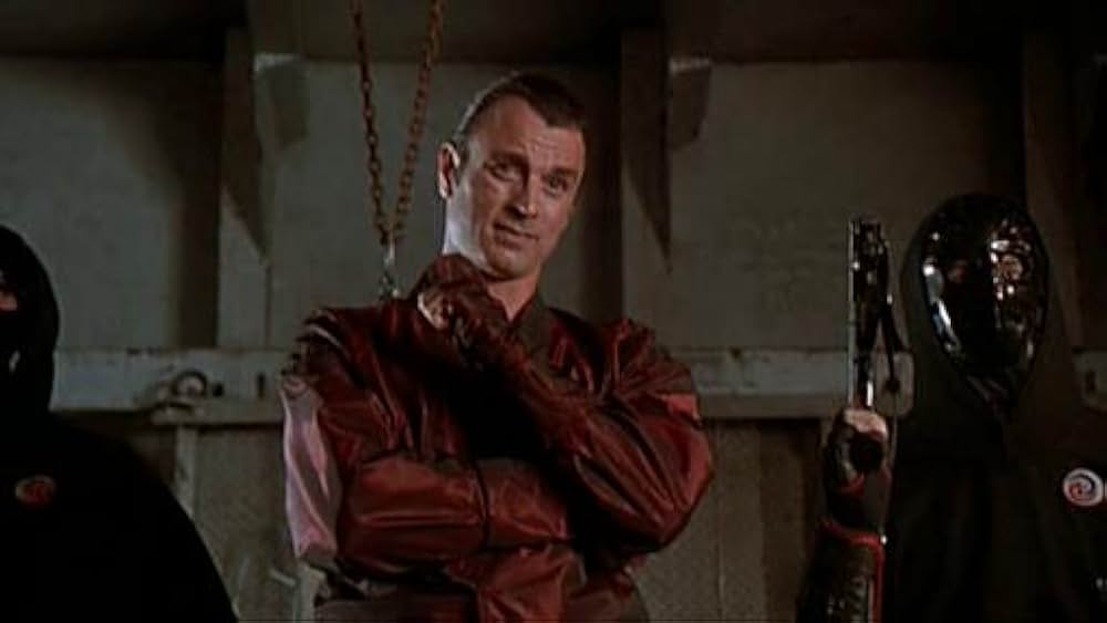 クロオビキッズの画像