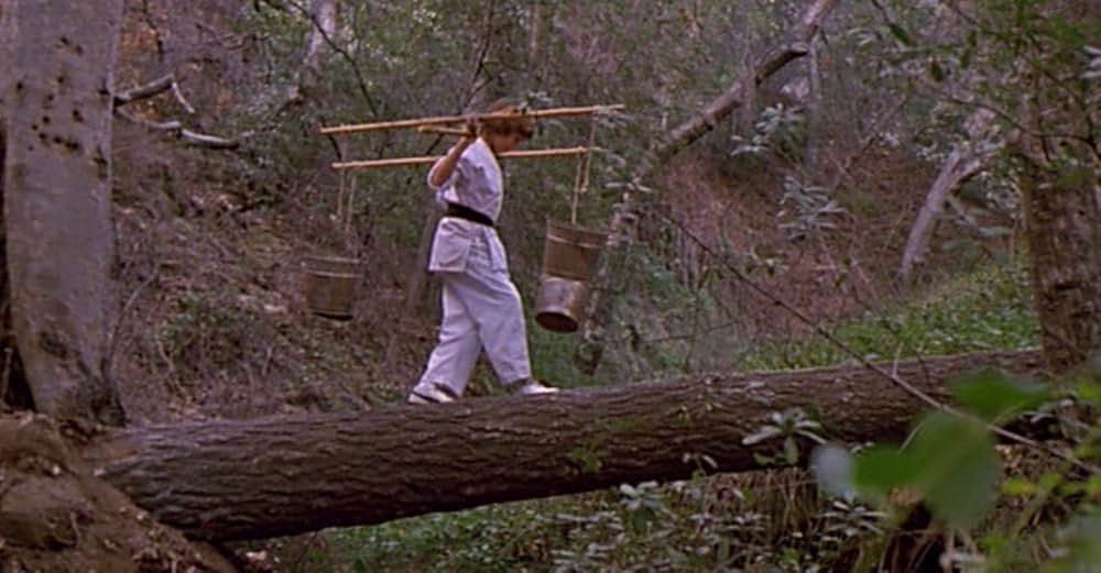 クロオビキッズの画像