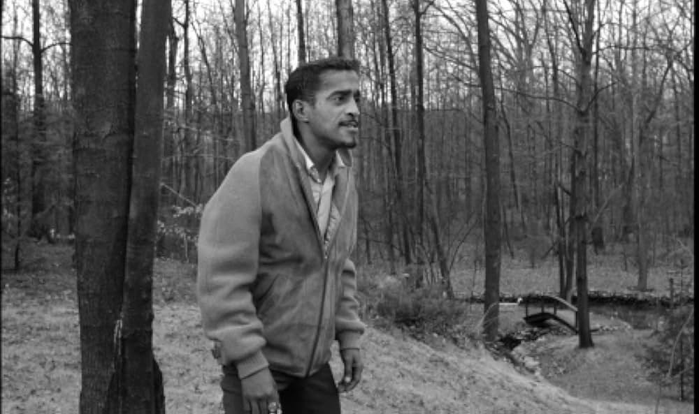 アダムのブルース／天才トランペッターの愛と挫折の画像