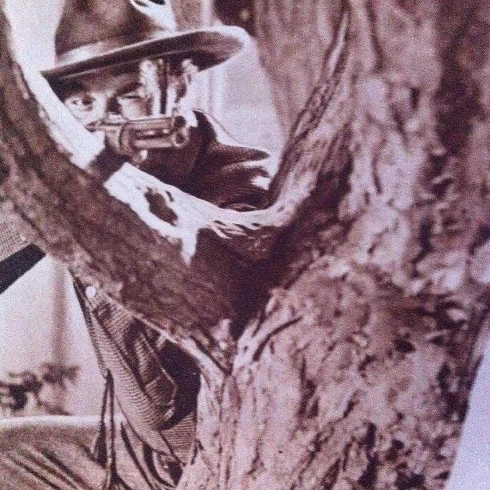 拳銃街道の画像