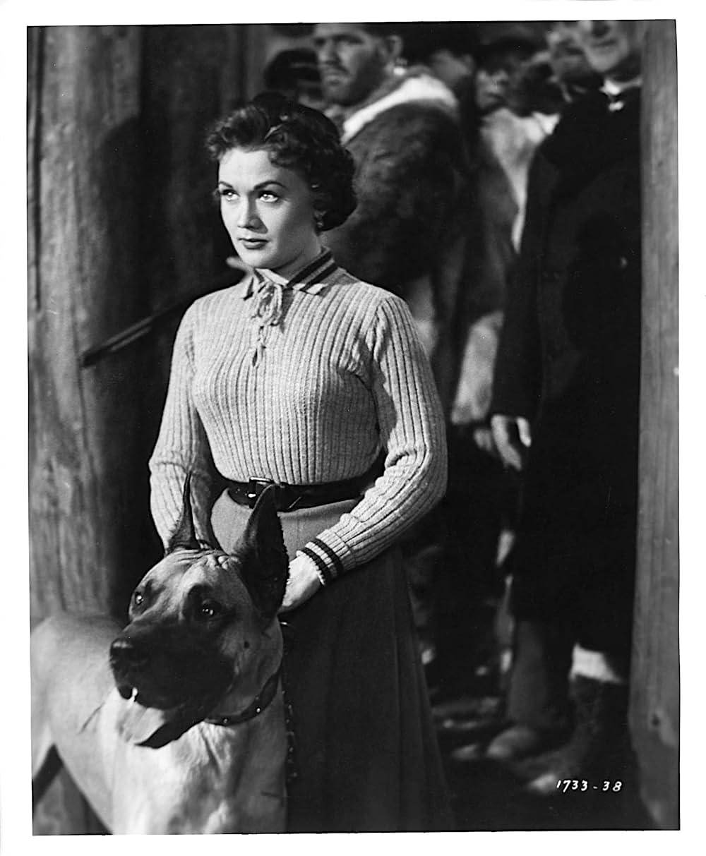 大雪原の決闘の画像