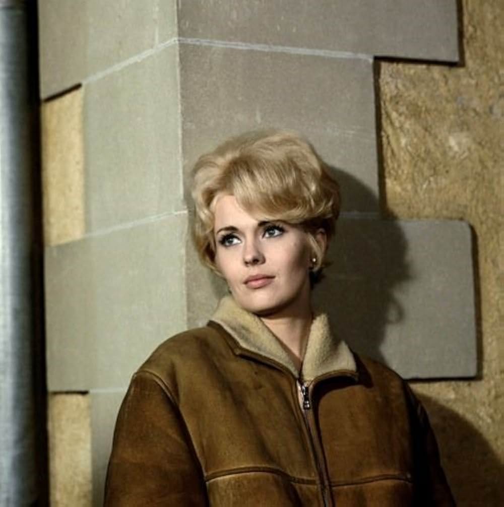 盗みのテクニックの画像