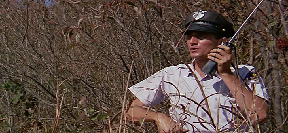 夜の大捜査線の画像