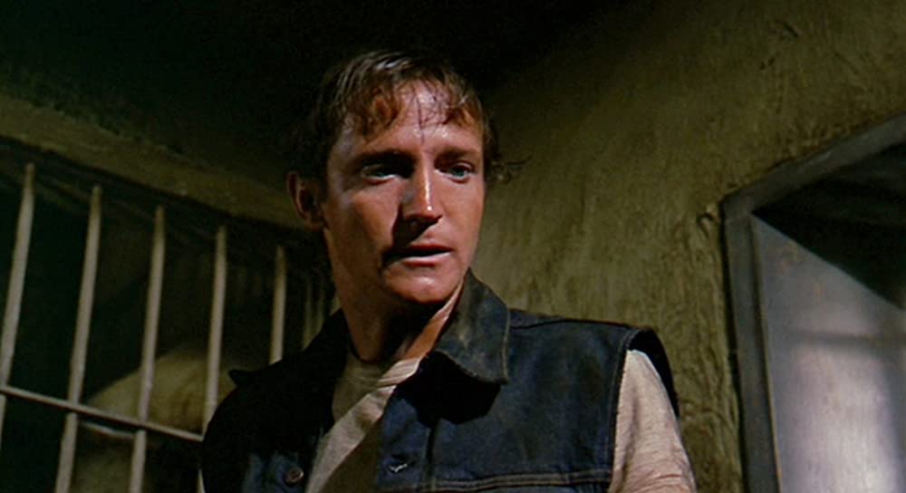 夜の大捜査線の画像