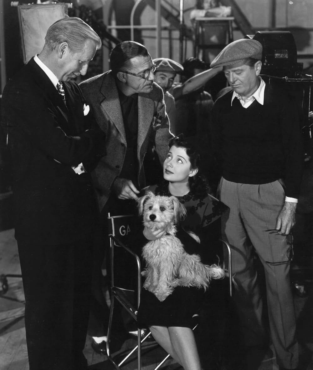 ハリウッド・アルバムの画像