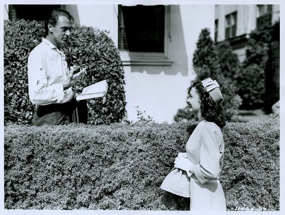 ハリウッド・アルバムの写真