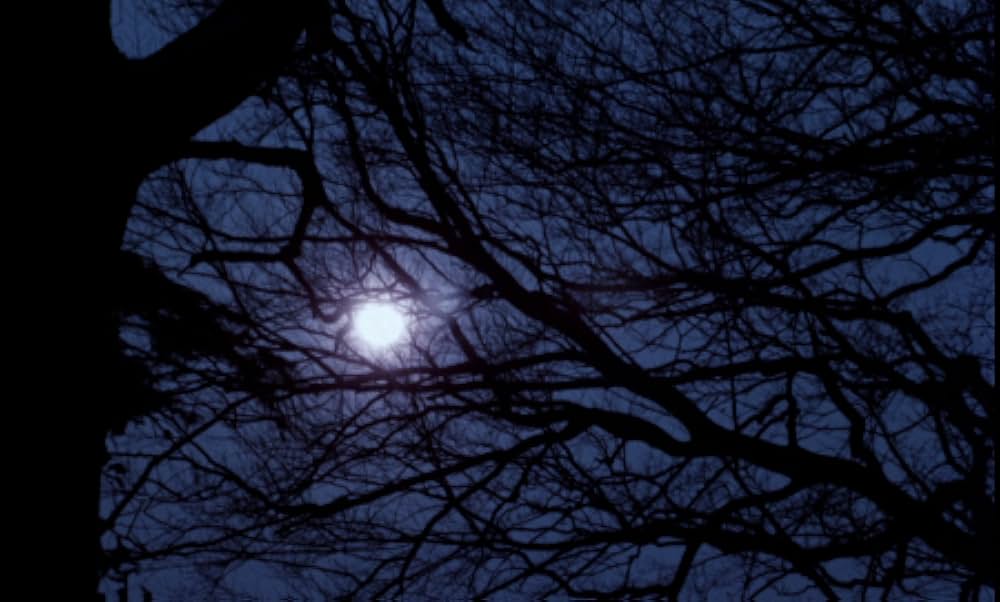 デビルズ・ビレッジ／魔神のいけにえの画像