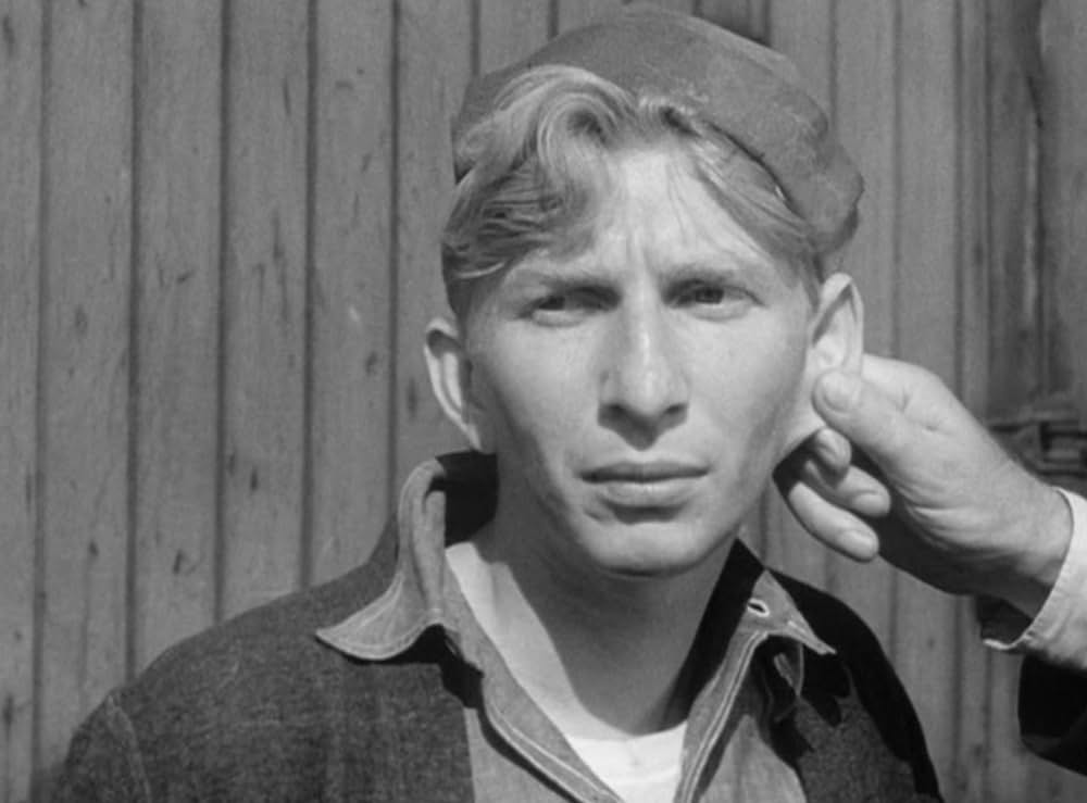 家なき少年群の写真