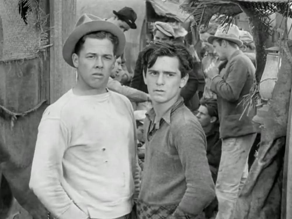 家なき少年群の画像