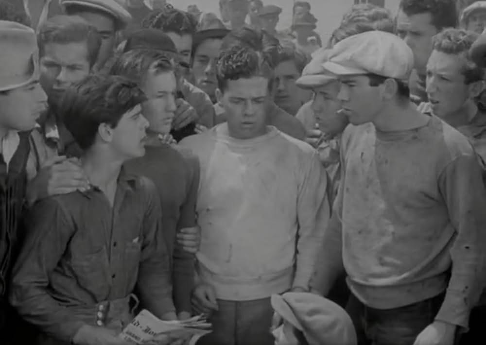 家なき少年群の画像