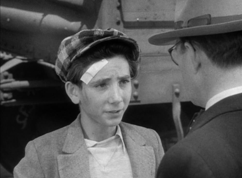 家なき少年群の画像