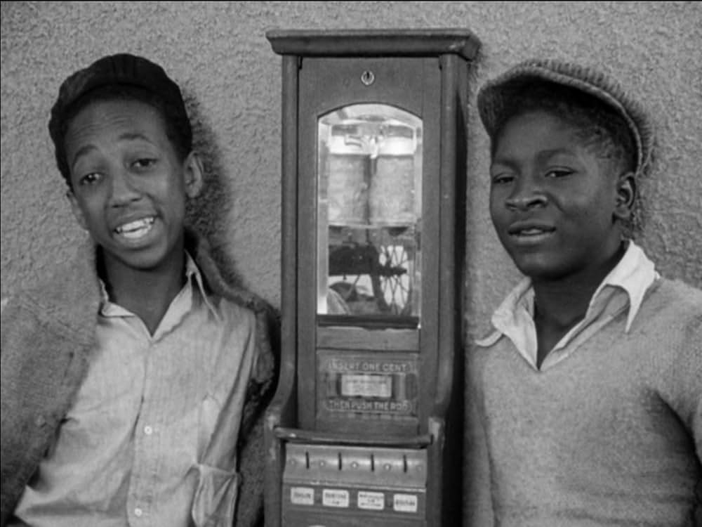 家なき少年群の画像