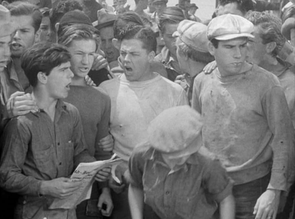 家なき少年群の画像