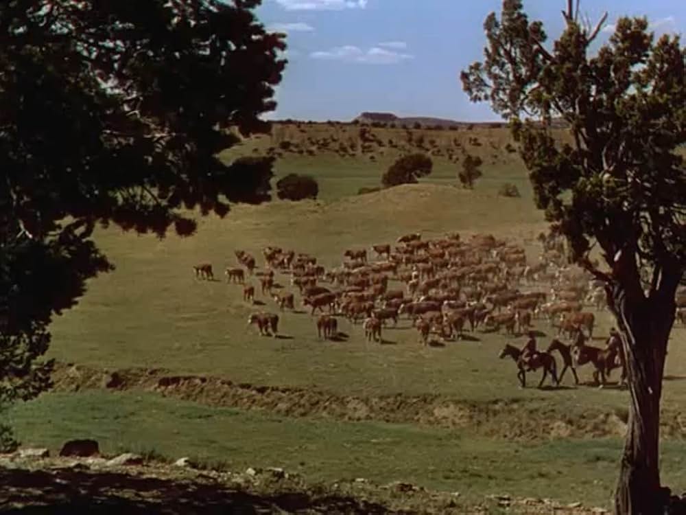 牧場荒しの画像