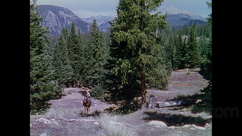鉄路に賭ける男の画像