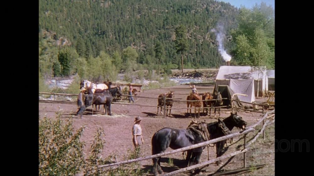 鉄路に賭ける男の画像