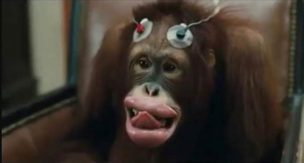 ドクター・ドリトルの画像