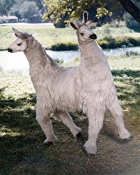 ドリトル先生不思議な旅の画像