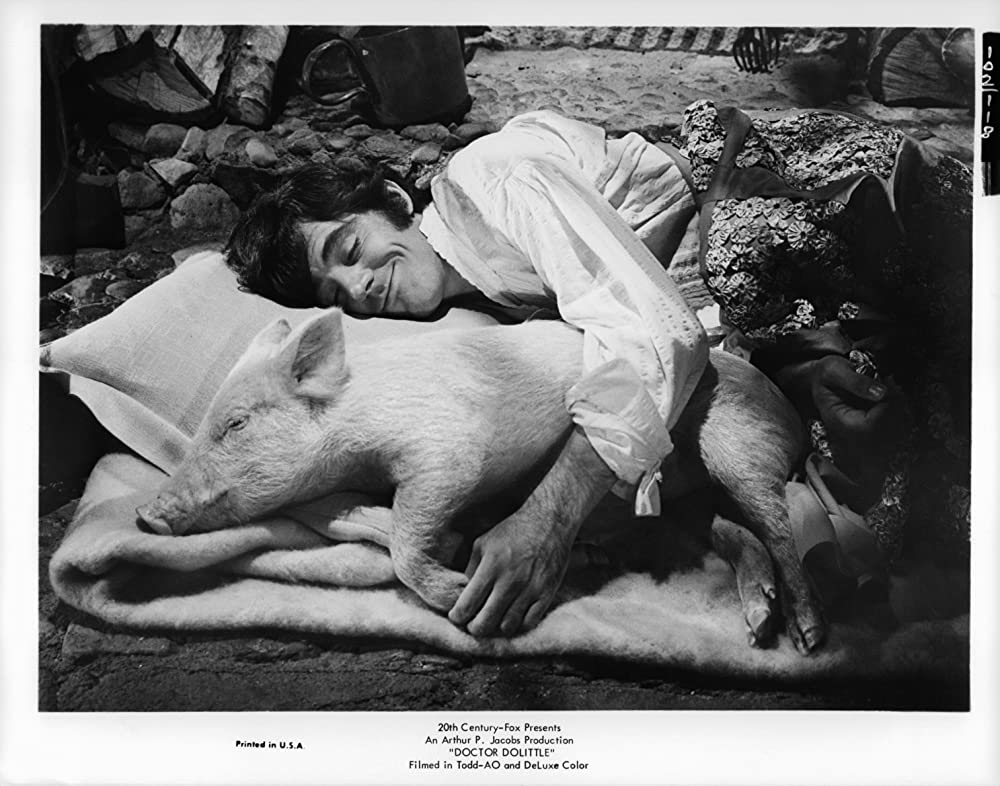 ドリトル先生不思議な旅の画像