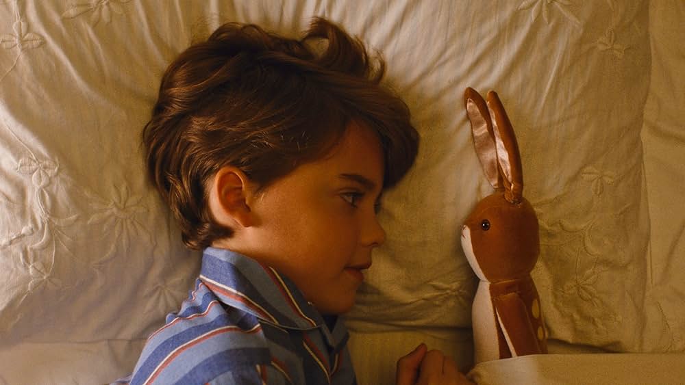 ビロードのうさぎの画像