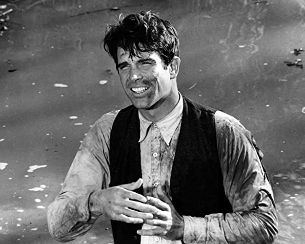 俺たちに明日はないの画像