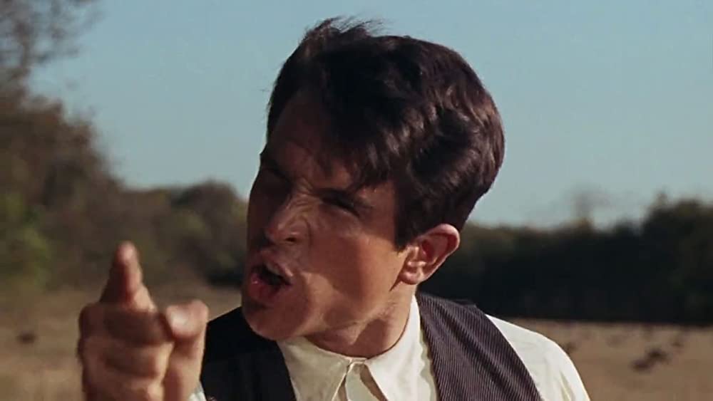 俺たちに明日はないの画像