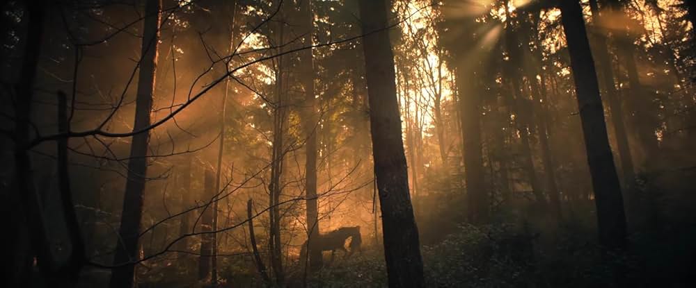 レイチェルの画像