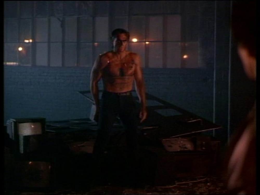 ザ・バンカー／薔薇の殺意の写真