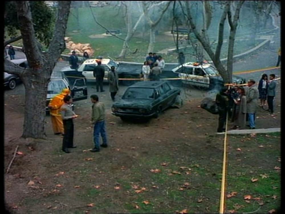 ザ・バンカー／薔薇の殺意の画像