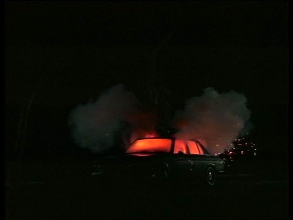 ザ・バンカー／薔薇の殺意の画像