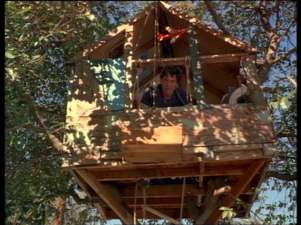 ザ・バンカー／薔薇の殺意の画像