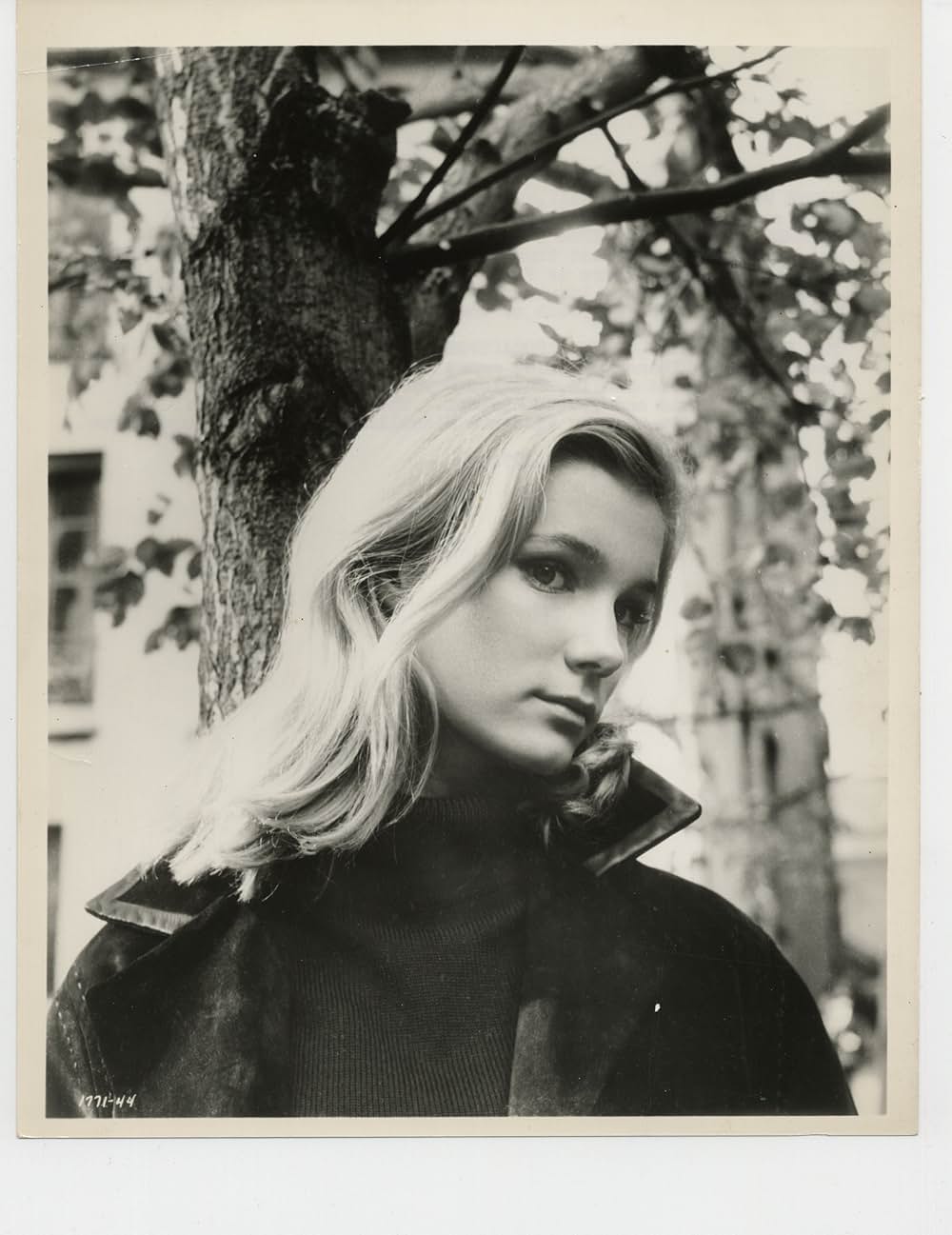 黙示録の四騎士の画像