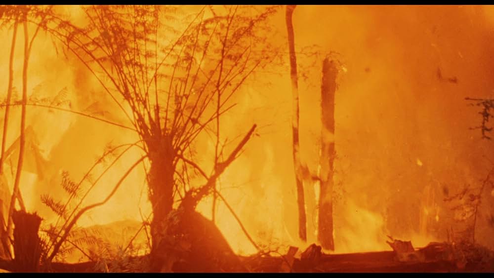 テロリストたちの夜／自由への挽歌の画像