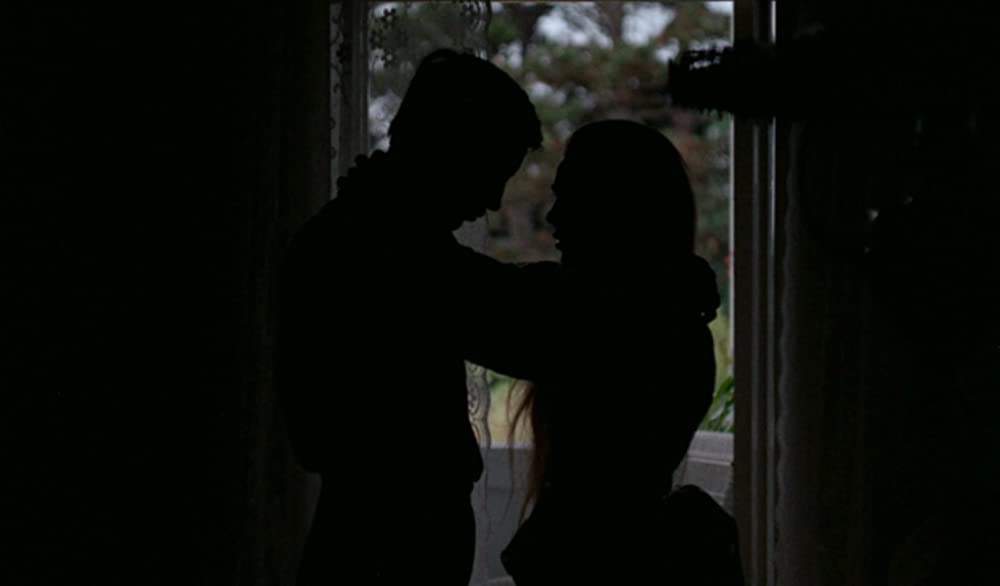 「みじかくも美しく燃え」の画像