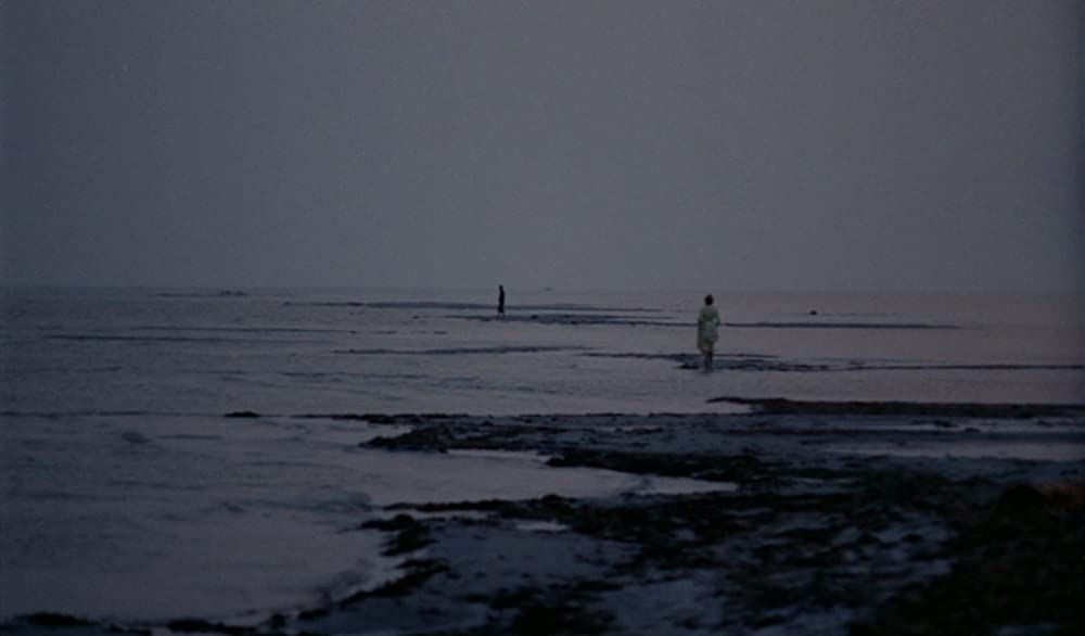 「みじかくも美しく燃え」の画像