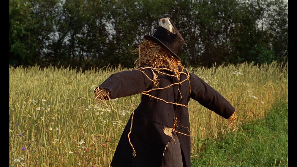 「みじかくも美しく燃え」の画像