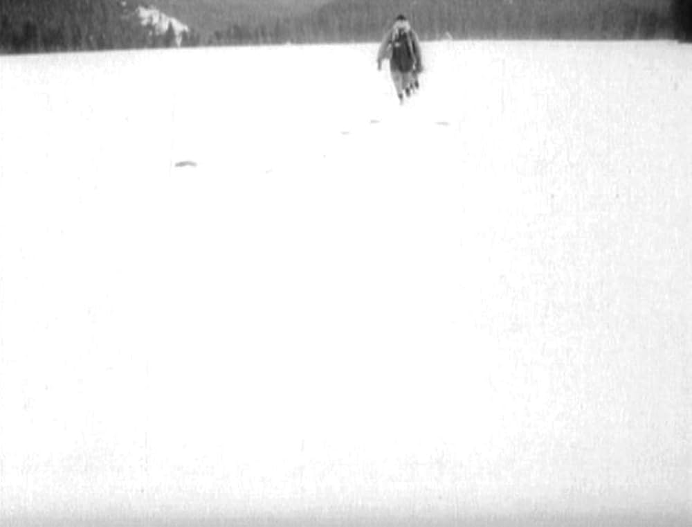 哺乳動物たちの画像