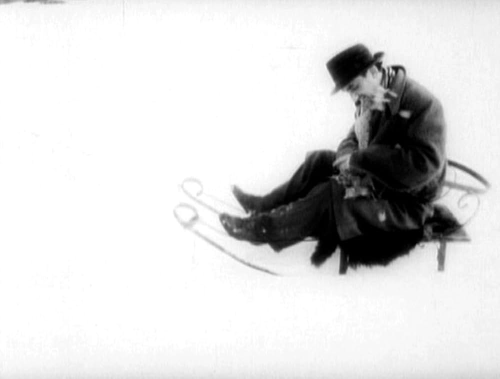 哺乳動物たちの画像