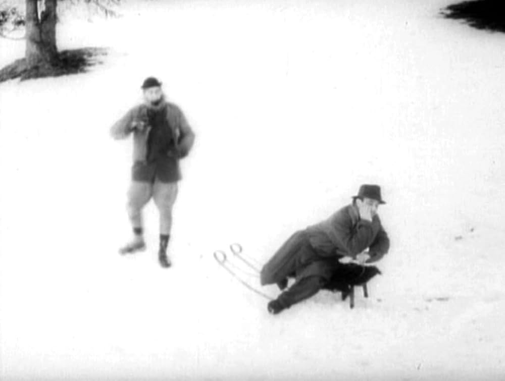 哺乳動物たちの画像