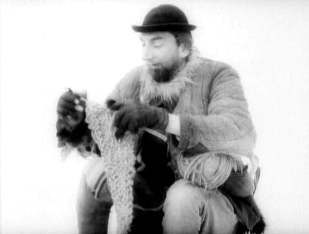 哺乳動物たちの画像