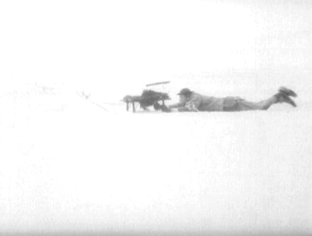 哺乳動物たちの画像