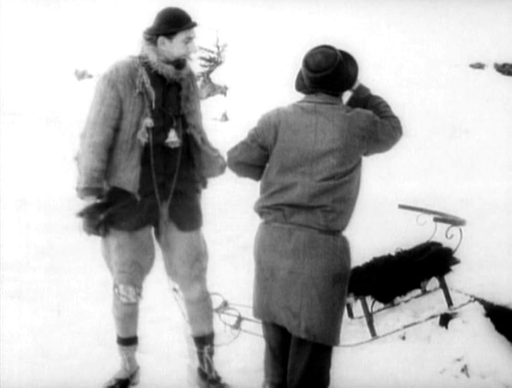 哺乳動物たちの画像