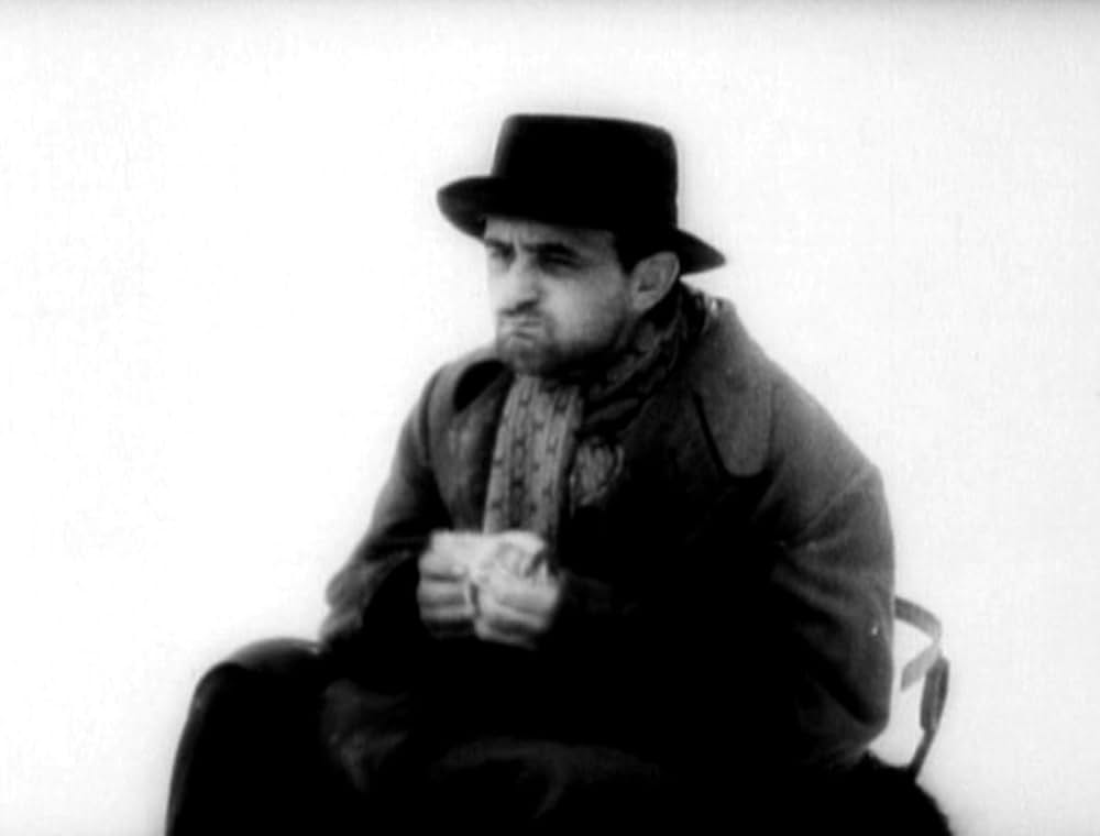 哺乳動物たちの画像