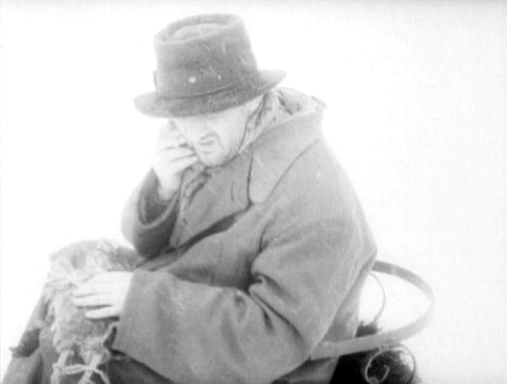 哺乳動物たちの画像