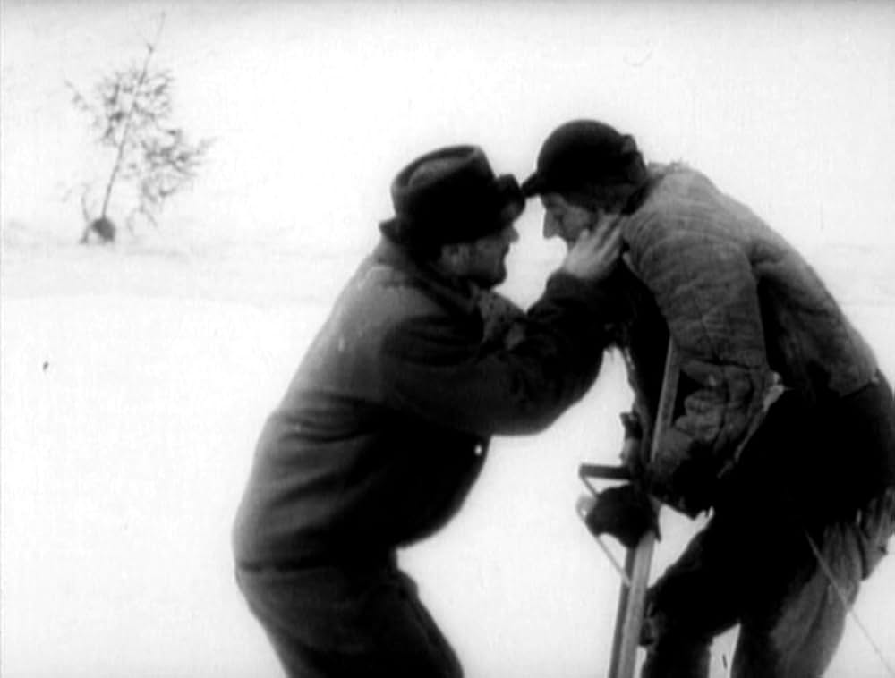 哺乳動物たちの画像