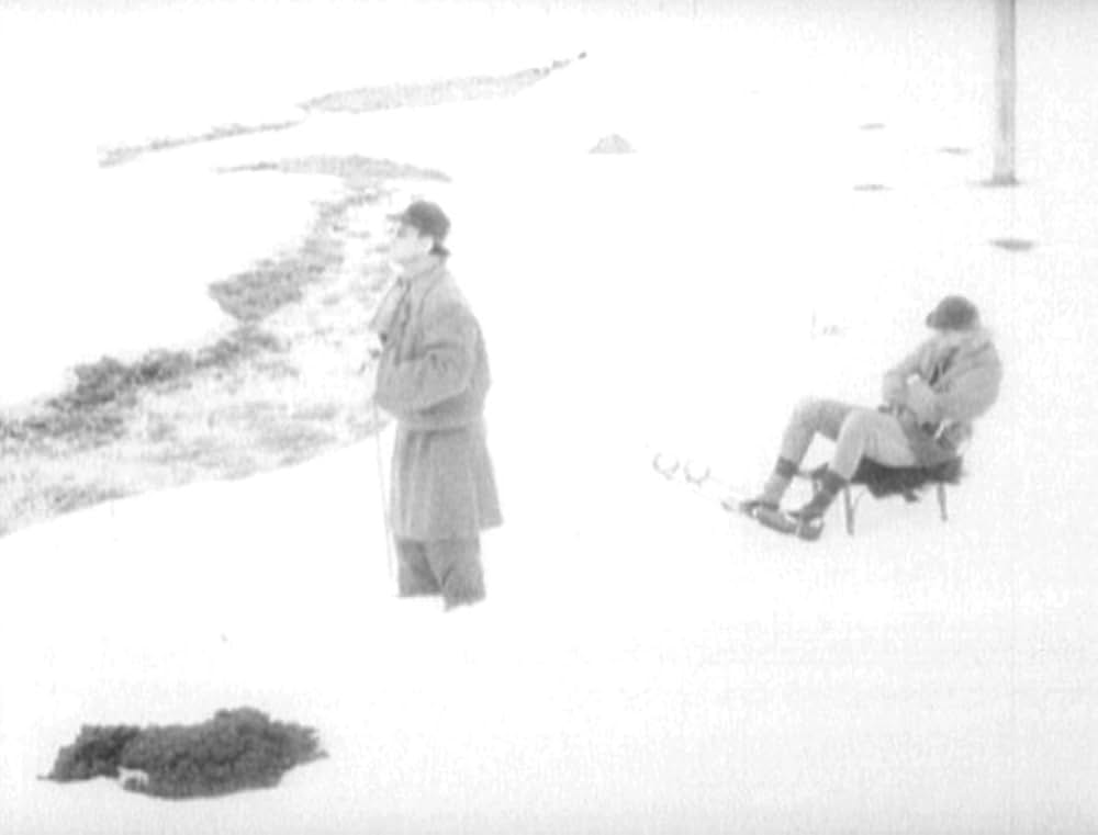 哺乳動物たちの画像