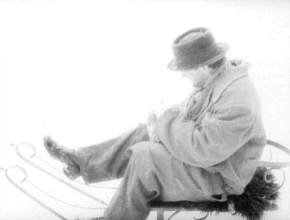 哺乳動物たちの画像