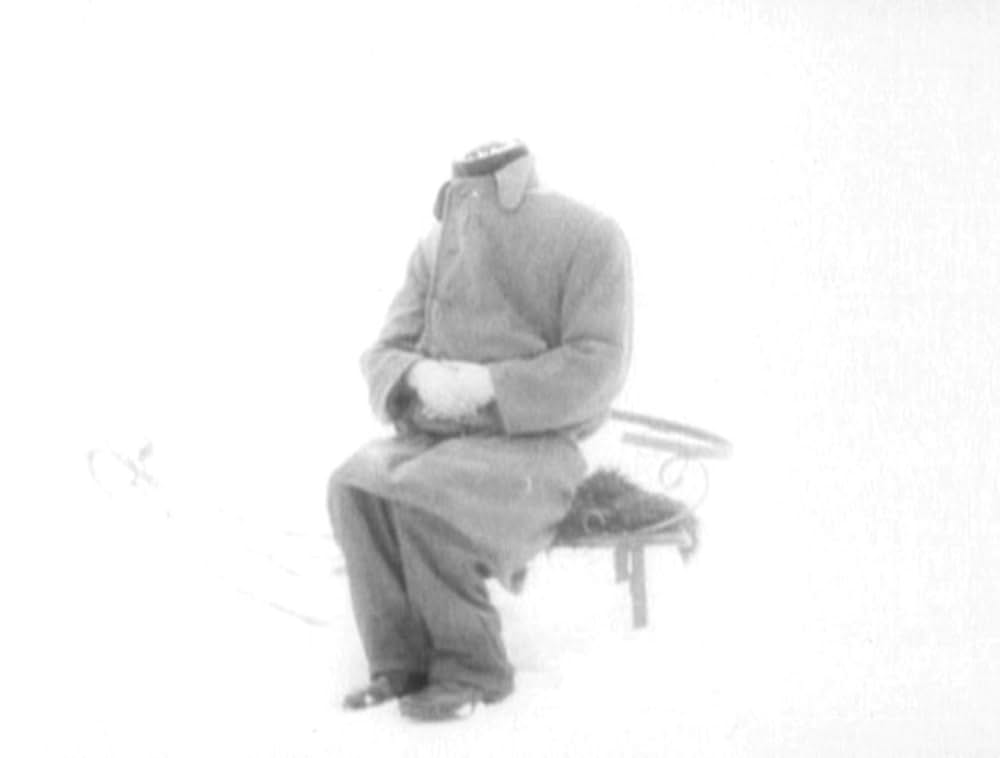 哺乳動物たちの画像