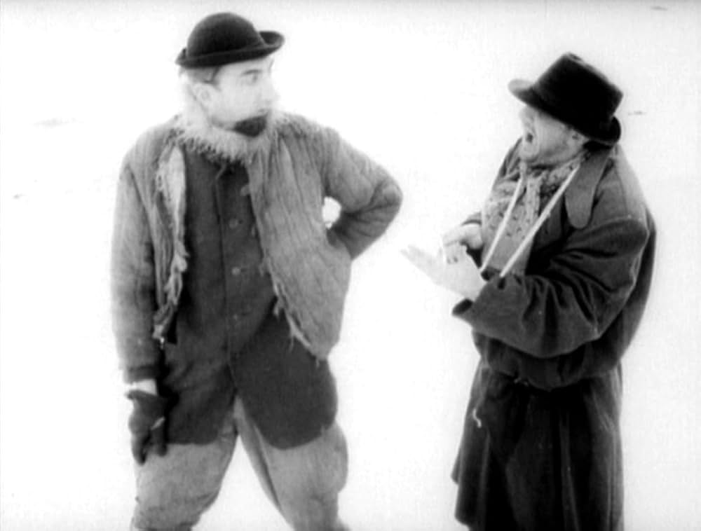 哺乳動物たちの画像