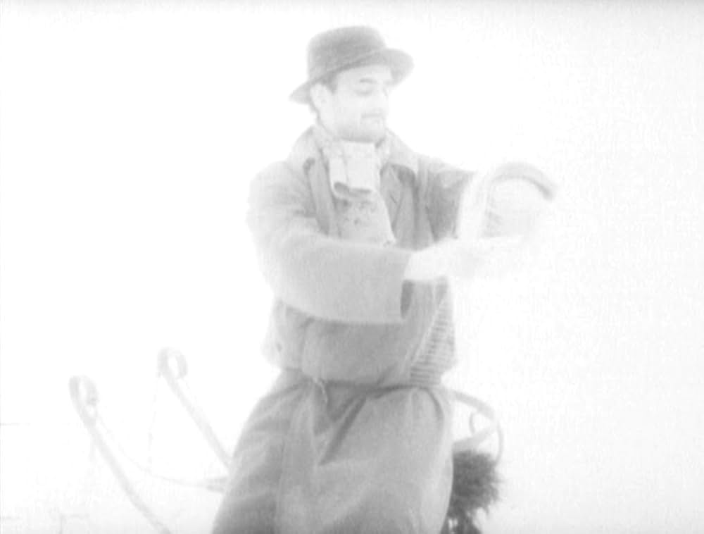 哺乳動物たちの画像